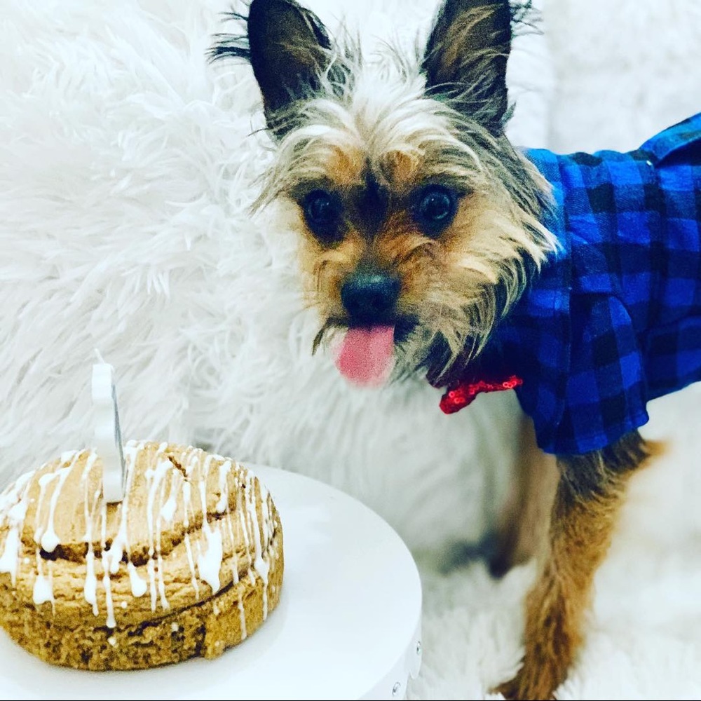 Meet your Posher, Florence